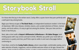 woman browsing bookstore