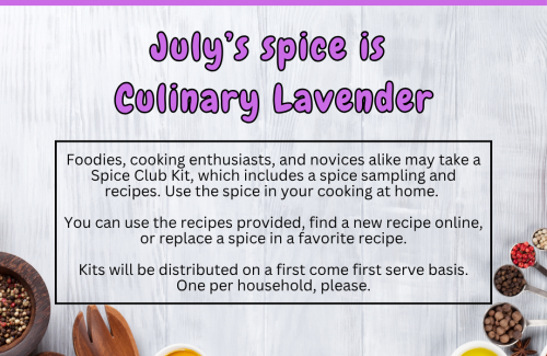 weathered white board background with arc of colorful and tasty looking dishes of spices around the bottom of image