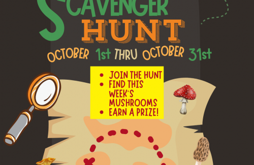 Black background with treasure map, magnifying glass, and mushrooms