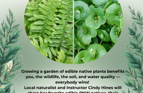 Flyer announcing native plant presentation with photographs of plants.