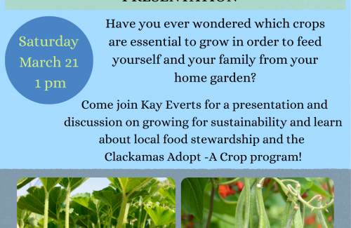 Flyer announcing gardening class with photograph of bean plant and squash plant
