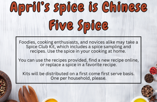 White wood grain background with bright colored spices bordering the bottom edge