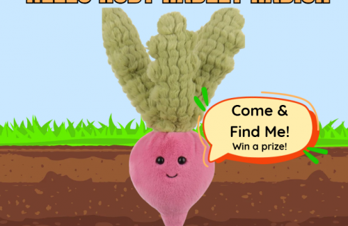 Words hello ruby radley radish, come & find me, win a prize.  Picture of red radish plushie.