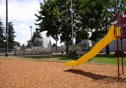 Maple Street Park Slide