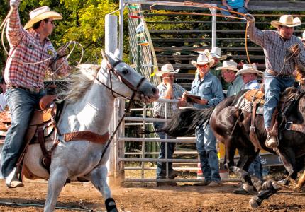 Men riding horses