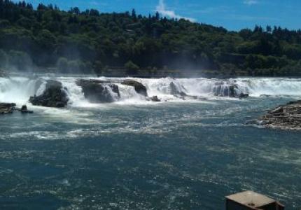 Willamette Falls