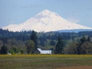 Mt Hood