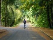 logging road trail