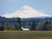 mount hood