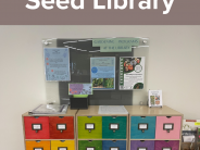 Colorful Seed Library setup