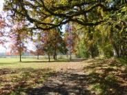 Molalla River State Park Walking Path