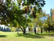 Molalla River State Park Field and Trees