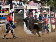 County Fair Rodeo