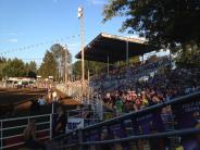 Steer Showing