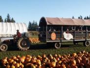 Fir Point Farms Harvest Festival