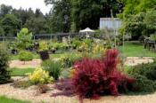 Secret Garden Growers