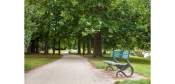 Park path, trees and bench