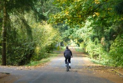 Cyclist on Logging Road Bike Trail