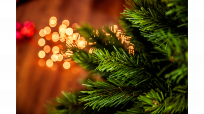 Lights and tree branch 