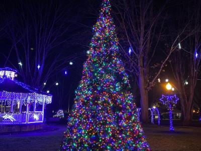 Wait Park lit for Light Up the Night