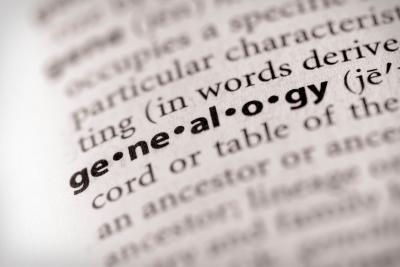 Dictionary with definition of genealogy.