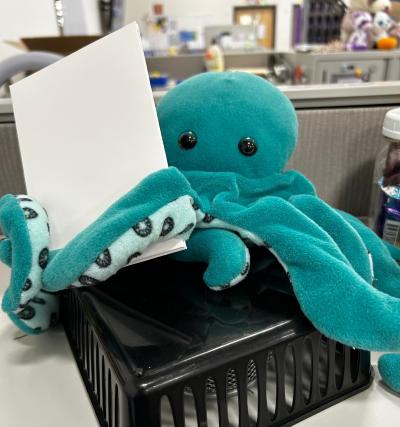 image teal plush octopus holding a white book with a blank cover