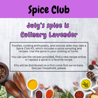 weathered white board background with arc of colorful and tasty looking dishes of spices around the bottom of image