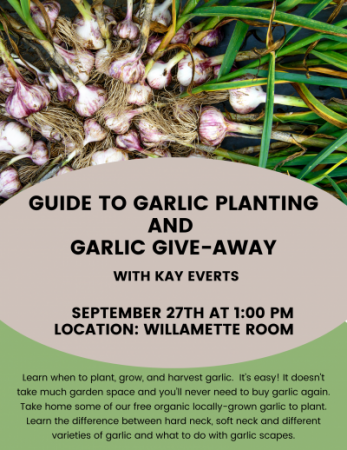 Flyer introducing presentation about garlic. Image of garlic bulbs harvested from the garden.