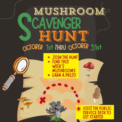 Black background with treasure map, magnifying glass, and mushrooms