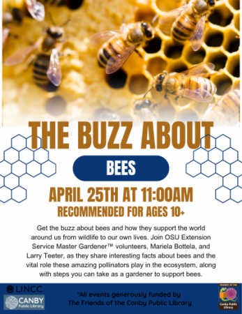 Close-up photo of bees working the hive