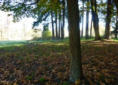 Nineteenth Avenue Loop Natural Area