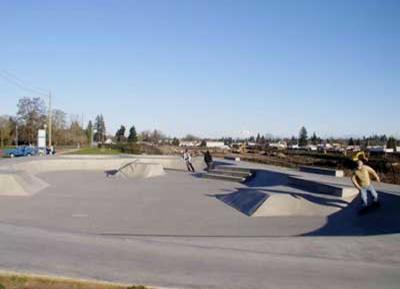 Skateboarders using the Skate Park