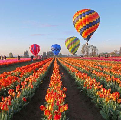 Wooden Show Tulip Festival