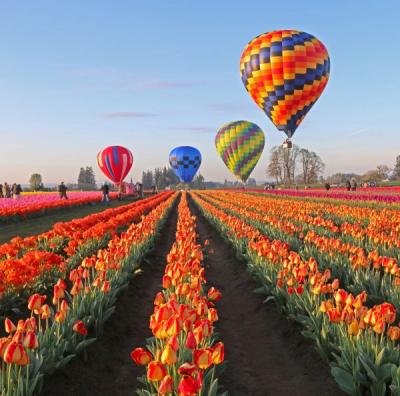 The Wooden Shoe Tulip Festival