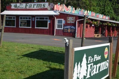 Fir Point Farms Harvest Festival