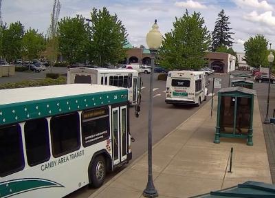 Buses at Transit Station