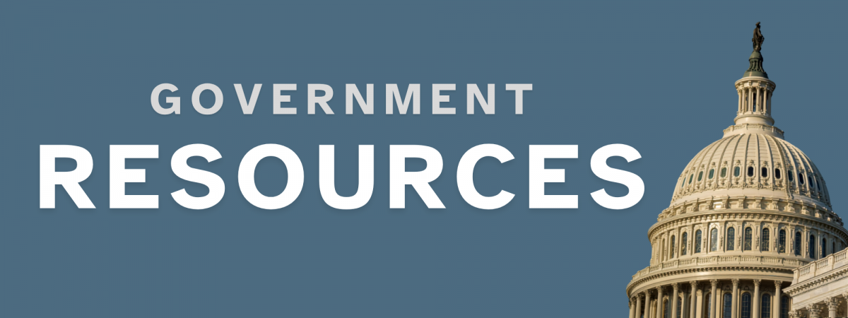blue/gray background with the capitol building and 'Government Resources' text