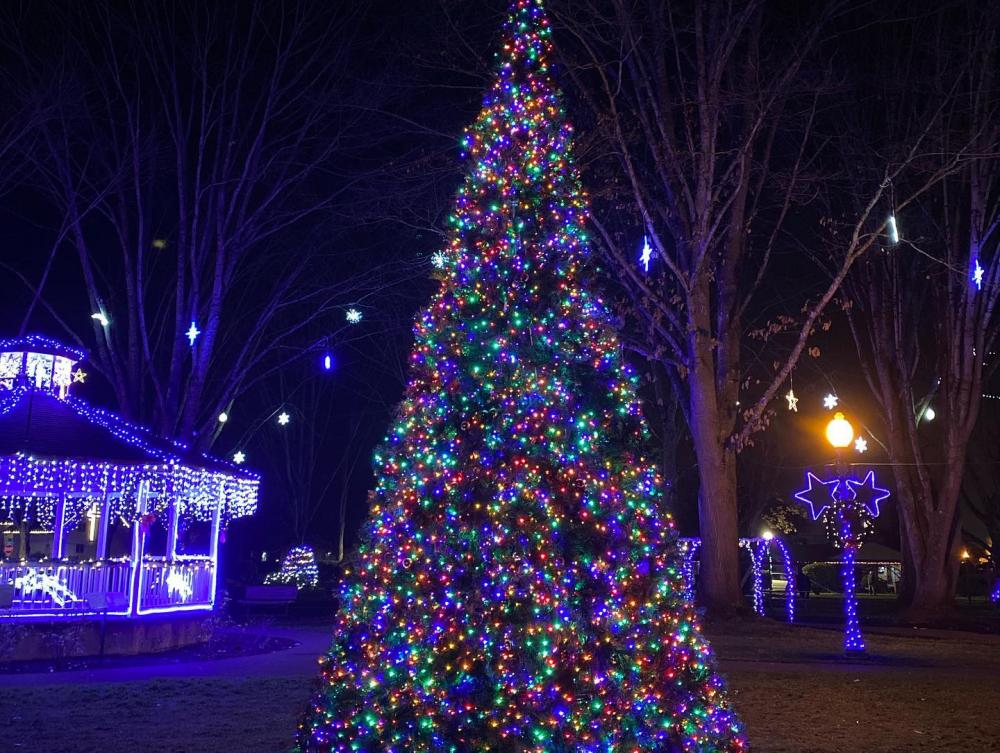 Xmas tree light up deals