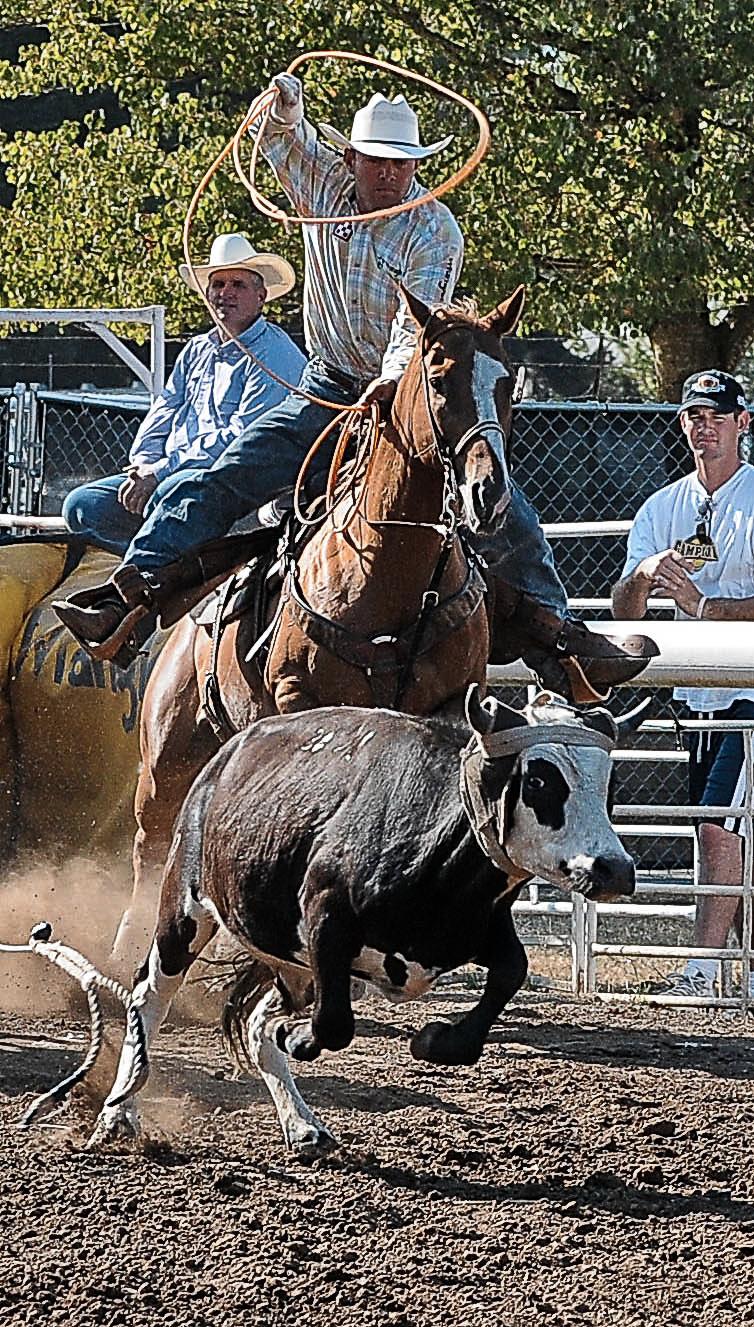 Clackamas County Fair Canby OR