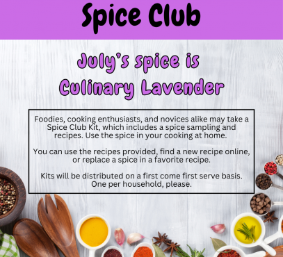 weathered white board background with arc of colorful and tasty looking dishes of spices around the bottom of image
