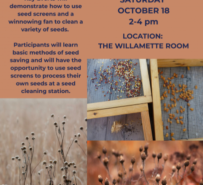 Flyer showing images of seeds in screens and plants which have gone to seed.