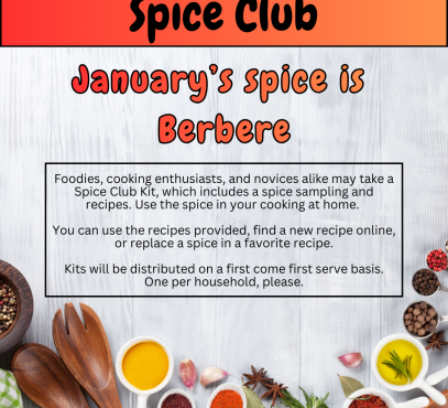 white background with semi-circle of white bowls holding colorful spices and wooden spoons bordering the bottom