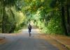 Cyclist on Logging Road Trail